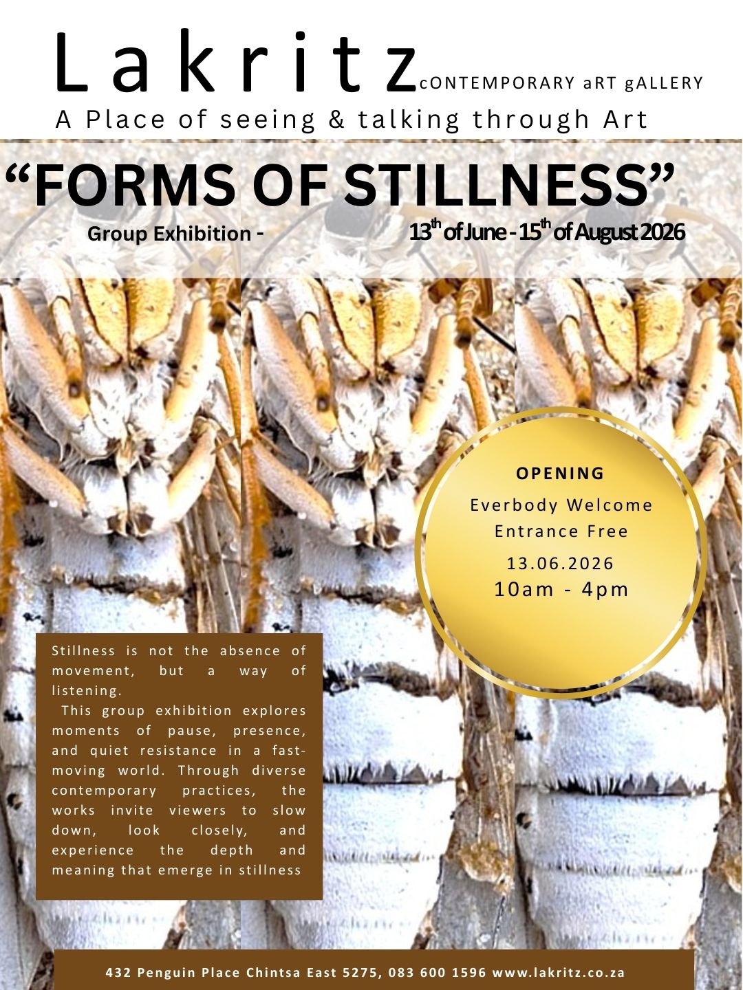 Forms of Stillness
