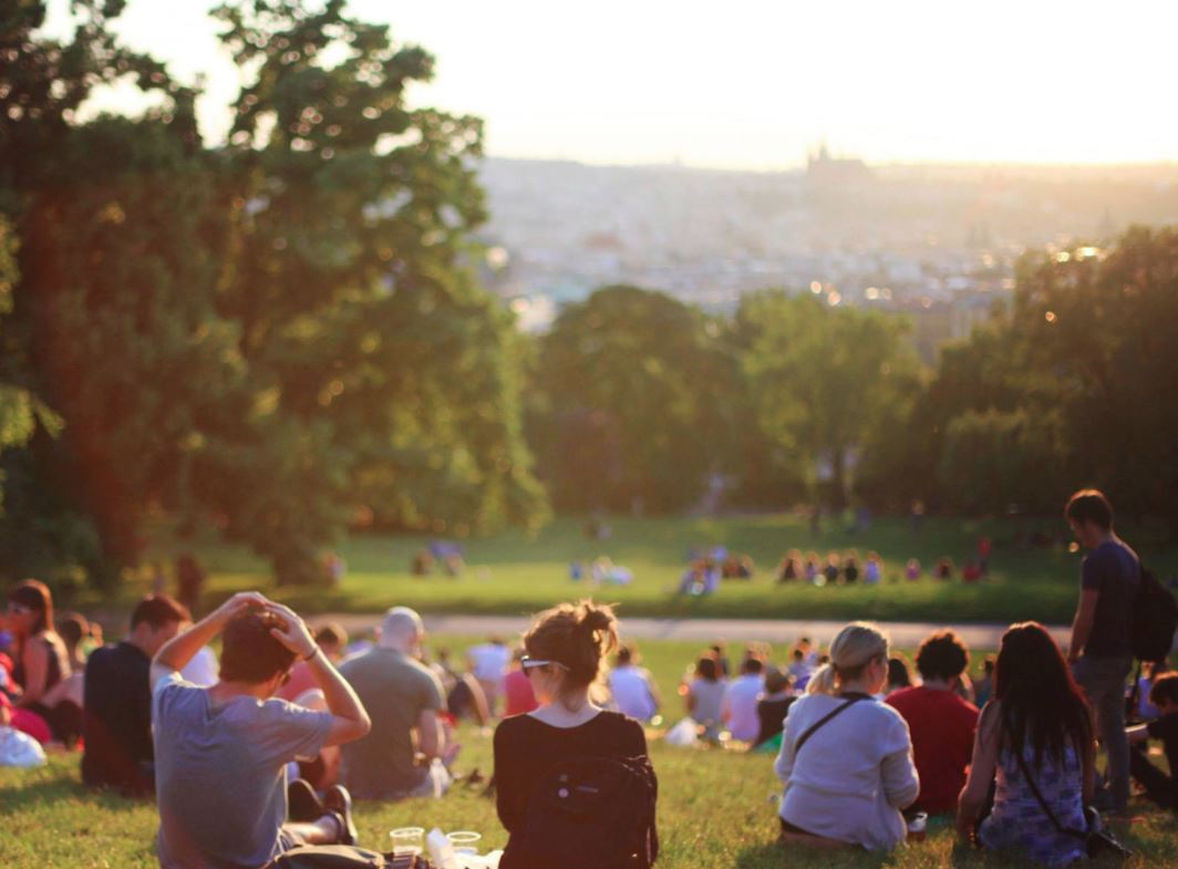 People sitting together on a grassy hillside among trees in the late afternoon sun